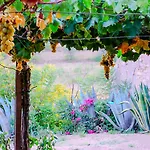 Tenuta Bartoli