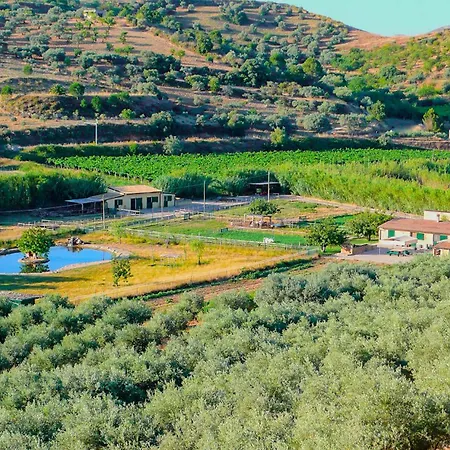 Tenuta Bartoli - Agave Mazzarino