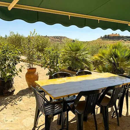 Tenuta Bartoli - Agave *